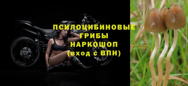 индика Алзамай