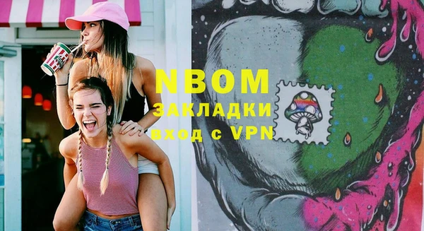 индика Алзамай