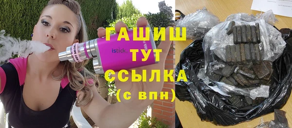 индика Алзамай