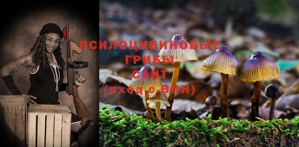 индика Алзамай