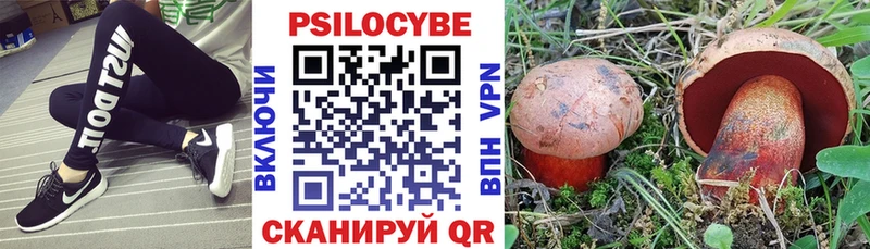 Галлюциногенные грибы прущие грибы  Обнинск 